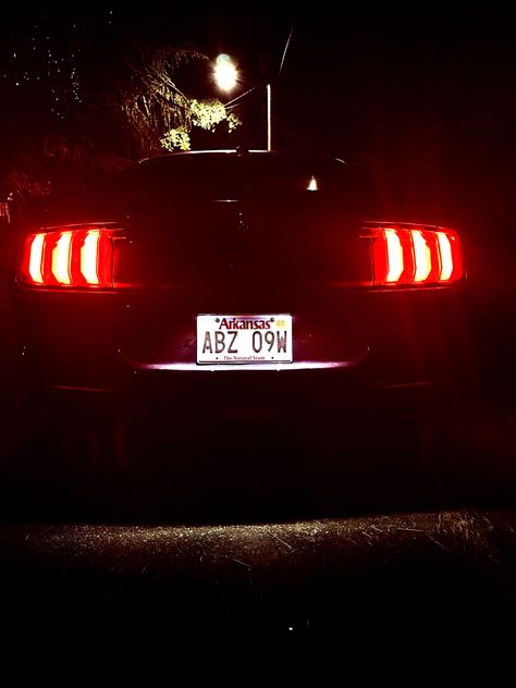 #mustang #ford Photography, Mustang Tail Lights, Mustang Ford, Tail Lights, Tail Light, Mustang, Ford, Neon Signs, Quick Saves