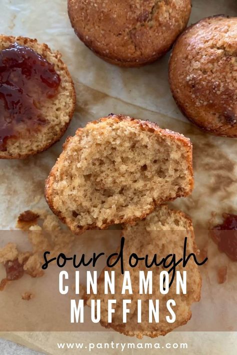 Sourdough Cinnamon Muffins Sourdough Cinnamon Muffins Recipe, No Wait Sourdough Muffins, Cinnamon Sourdough Muffins, Sourdough Applesauce Muffins, Sourdough Starter Muffin Recipes, Easy Sourdough Muffins, Sourdough Apple Cinnamon Muffins, Sour Dough Recipes Using Starter, Sourdough Discard Cinnamon Muffins