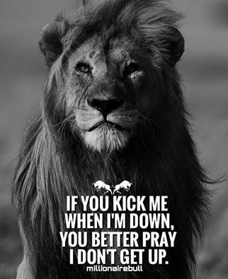 If you kick me when I'm down, you better pray I don't get up. Wisdom Quotes, Lion Quotes, Motiverende Quotes, Warrior Quotes, Short Inspirational Quotes, Word Up, Badass Quotes, Quotes About Strength, Inspirational Quotes Motivation