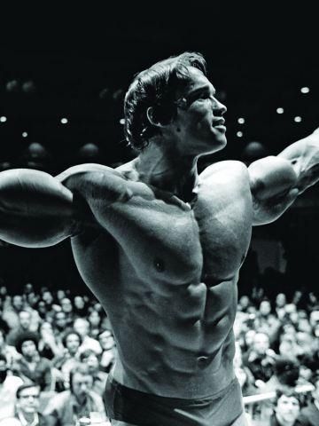 Arnold Pumping Iron, Logos, Arnold Posing, Arnold Schwarzenegger Wallpaper Iphone, Arnold Schwarzenegger Aesthetic, Arnold Physique, Arnold Pose, Arnold Wallpaper, Arnold Bodybuilding