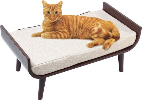 Penn Plax CatWalk Luxury Lounger -- You can get more details by clicking on the image. (This is an affiliate link and I receive a commission for the sales) Bed Contemporary, Kitty Room, Heated Cat Bed, Luxury Cat Bed, Modern Cat Furniture, Cat Bed Furniture, Luxury Cat, Furniture Luxury, Wooden Cat