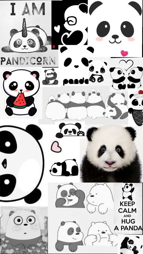 Panda Animated Wallpaper, Panda Wallpaper With Quotes, Panda Asthetic Wallpers, Panda Wallpaper Iphone Backgrounds, Lazy Panda Wallpaper, Panda Dp For Instagram, Panda Wallpapers Iphone, Cute Panda Wallpaper For Phone, Black Panda Wallpaper