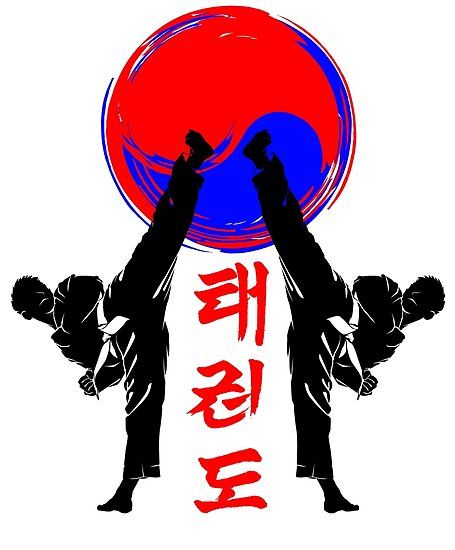 This represent the flag color of South Korea, the land of taekwondo. Suitable for you that love this martial art. ;) • Millions of unique designs by independent artists. Find your thing. Hapkido, Martial Arts Tattoos, Martial Arts Sparring, Korean Martial Arts, High Kick, Pencak Silat, Martial Arts Techniques, Pahlawan Super, Gambar Figur