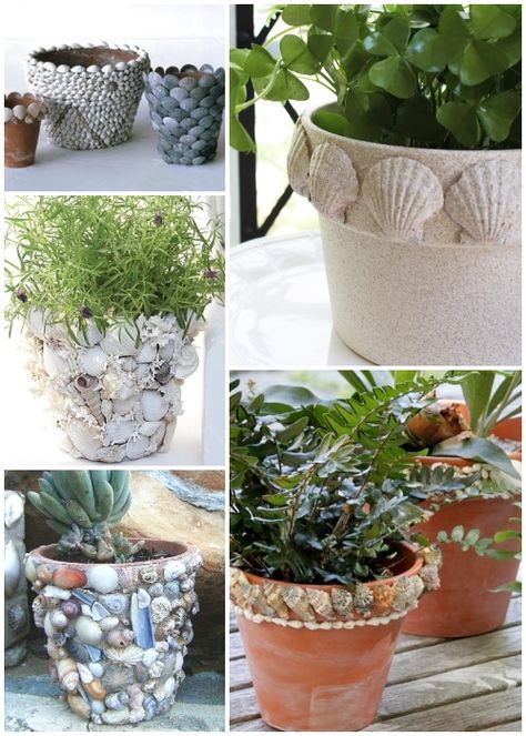 Ideas for how to decorate terracotta pots with sea shells. Featured on Completely Coastal. Decorating terracotta pots with shells can be as simple as creating a decorative rim with assorted shells, or it can be as elaborate as covering the entire pot with a composition of shells, and, of course, anything in between. Take your inspiration from these terracotta pot crafts! Terracotta Pot Crafts, Terra Cotta Pot Ideas, Pot Planter Ideas, Shell Craft Ideas, Decorating Terra Cotta Pots, Sea Shells Diy, Terra Cotta Clay Pots, Terra Cotta Pots, Shell Planter