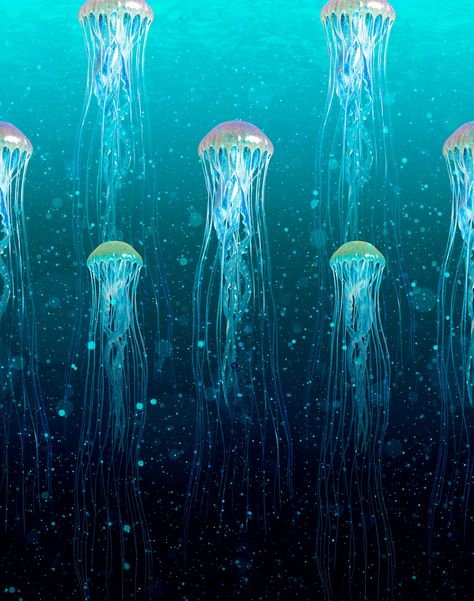 Kurage, Emerald – The Pattern Collective Jellyfish Wallpaper, Underwater Scene, Themed Rooms, Lake Painting, Art Deco Wallpaper, Sensory Experience, Unique Wallpaper, Eclectic Design, Blue Wallpaper