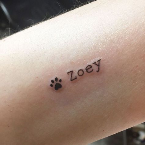 Small Tattoos About My Dog, Cool Looking Tattoos, Dog Birthday Tattoo, Dogs Tattoo Small, Finger Tattoos Cat, Elegant Best Friend Tattoos, Dog Tribute Tattoo Small Lab, Dog Name Tattoo Small, Dog Tattoo Ideas German Shepherd