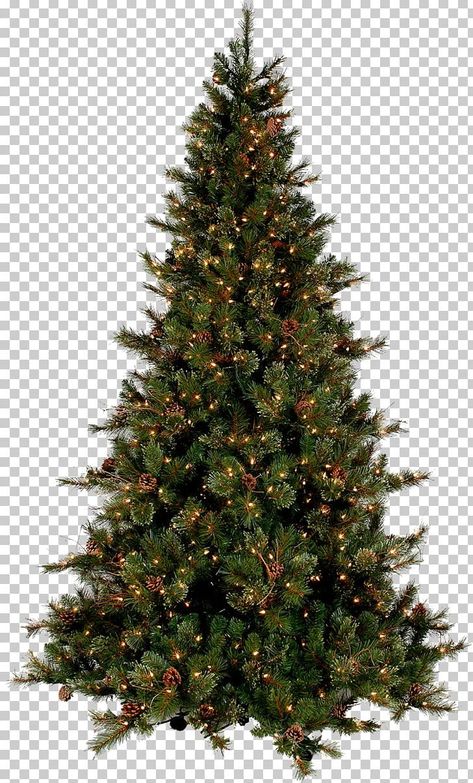 Natal, Season Tree, Christ Christmas, Christmas Tree Png, Holiday Png, Santa Crafts, Christmas Tree Branches, Tree Icon, Cabin Christmas