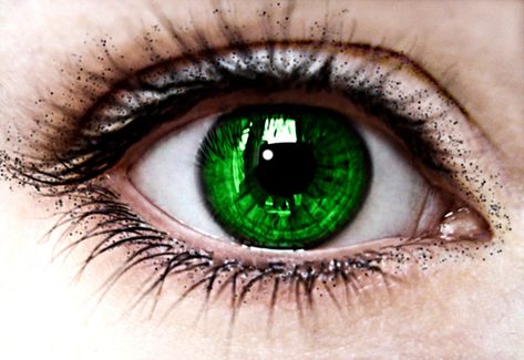 Nessie's Eyes Eye Color Facts, Beautiful Eyes Color, Lily Potter, Emerald Eyes, Eye Photography, Aesthetic Eyes, Colored Contacts, Dark Ages, Eye Art