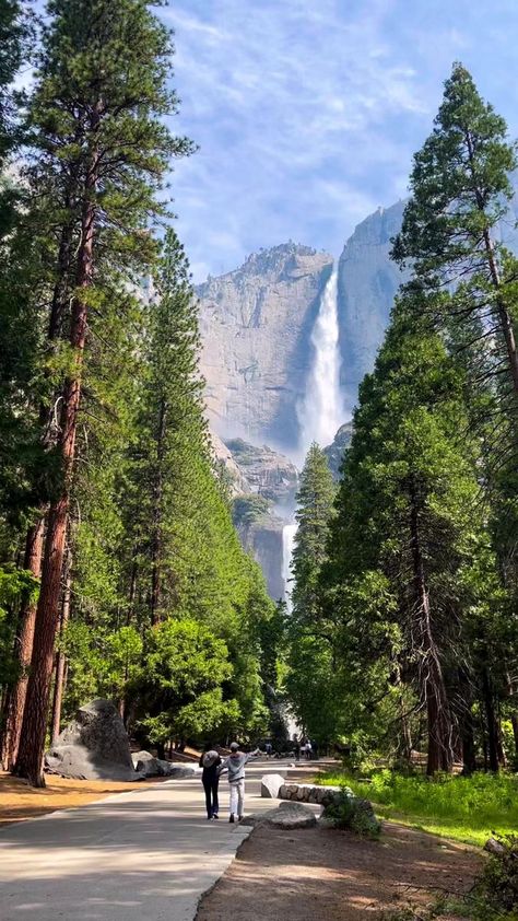 Yosemite Summer, Yosemite Waterfalls, Yosemite Photography, Yosemite Hikes, Yosemite Trip, American National Parks, North Cascades National Park, Forest Bathing, Yosemite Falls