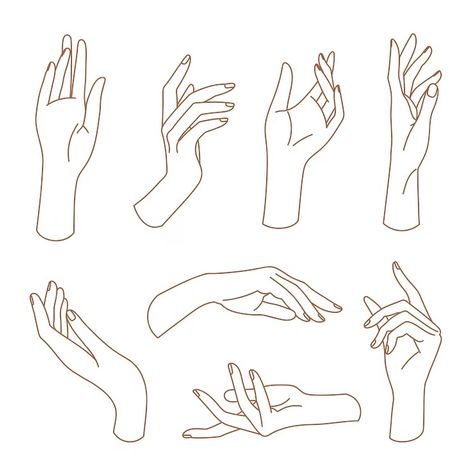 Premium Vector | Set of delicate women's hand in linear style female hands in various gestures Hands Illustration Drawing, Drawing Hands Reference Sketch, Delicate Hand Reference, Hand Drawing Illustration, Hand Giving Drawing, 2 Hands Drawing, Woman Hands Drawing, Hands Drawing Sketches, Hand Poses References