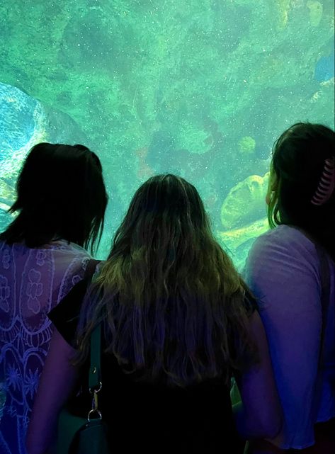 #friends #besties #aquarium #boston Birthday Ideas, Friend Photos, Aquarium With Friends, Trio Photos, Aquarium Photos, Beach School, School Trip, Nightmare On Elm Street, Bucket List