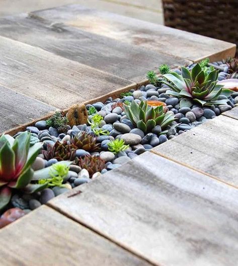 Succulent Outdoor, Wood Succulent Planter, Succulent Landscape Design, Wood Table Diy, Succulent Garden Design, Succulent Landscaping, Planter Design, Outdoor Diy Projects, Wood Patio