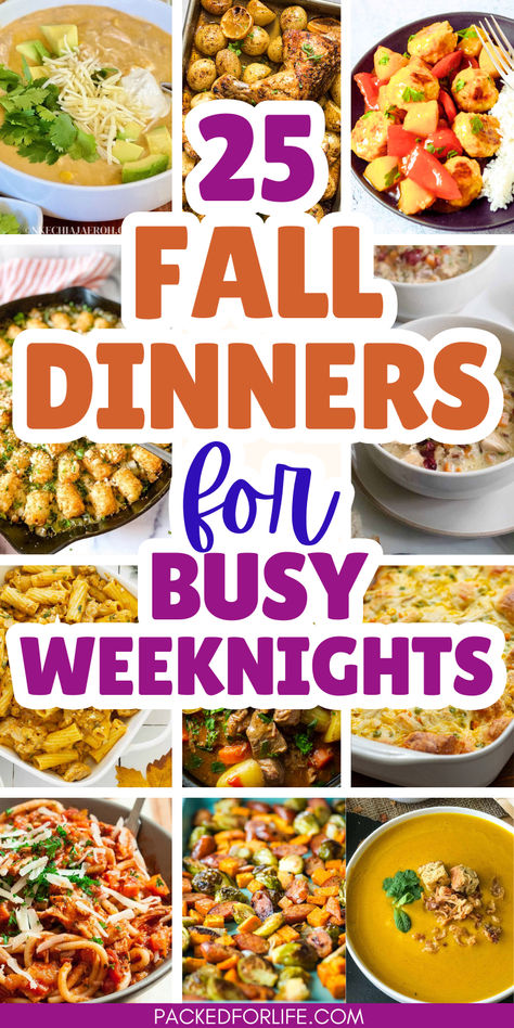 Text overlay 25 fall dinners for busy weeknights. With 12 photos of fall dinners from squash soup & white chicken chili, to tater tot turkey casseroles, & turkey pasta to harvest veggies sheet pan meals and beef stew. Good Fall Dinner Recipes, Fall Simple Dinner Recipes, Few Ingredient Fall Recipes, Fall Dinner Party Meals, Best Fall Meal Recipes, Best Fall Food Recipes, Fall Recipe Crockpot, Essen, Fall Food Healthy Dinner