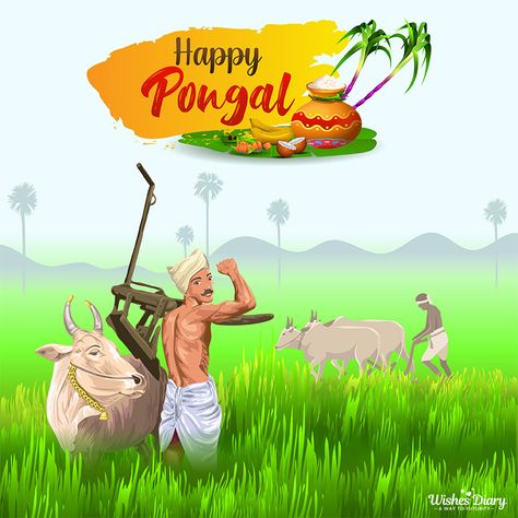 Nature, Pongal Celebration Drawing, Pongal Greetings, Celebration Drawing, Happy Pongal Wishes, Pongal Wishes, Pongal Celebration, Happy Easter Messages, Pongal Kolam