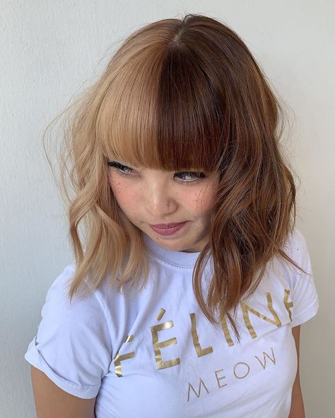 🖤🖤🖤 #shorthairgirls #shorthair #bangs #layershaircut #halfhalf #halfhalfhair #brownhair #brunette #blondehair #blonde Balayage, Half Blonde Bangs, Half And Half Hair Color, Shorthair Bangs, Hairstyles Boys, Two Color Hair, Split Dye, Half And Half Hair, Split Dyed Hair