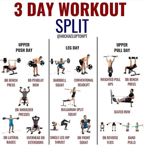 A great example of a workout split for 3x/week training. Can be used for any level, just adjust exercises to your capabilities.🏋️‍♀️ #motivationalmonday #motivation #train #trainer #trainhard #workoutsplits #mondaymotivation #fitness #inspiration #fitnessmotivation #success #fit #monday #workout #goals 3days A Week Workout Plan, 3 Days A Week Workout Plan Gym Weight Training, 3 Days A Week Gym Workout Plan, 3 Day Training Split, 3x A Week Workout Plan, 3 Day Compound Split, Push Superset Workout, 3x Week Workout Plan, 3 Day Weight Training Plan