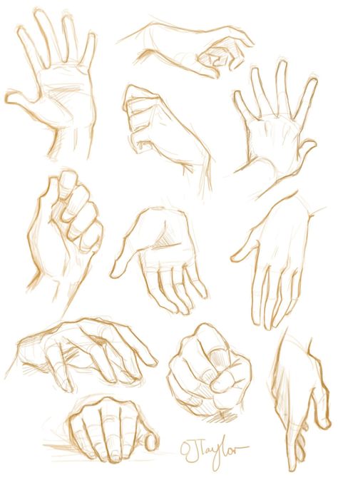 Drawing Hands, Sketch Hands, ศิลปะ Sugar Skull, Hand References, Hand Sketches, Draw Hands, Desen Realist, Couple Drawing, Výtvarné Reference