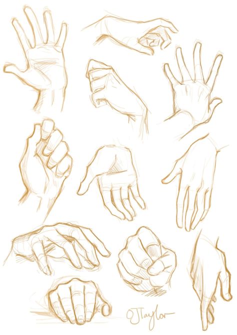 Sketch Hands, ศิลปะ Sugar Skull, Hand References, Hand Sketches, Lakaran Fesyen, Art Du Croquis, Desen Realist, Corak Menjahit, Draw Hands