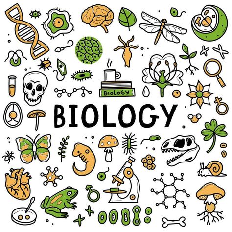 Biology Art Draw Ideas, Cute Biology Doodles, Doodle Notes Science, Elements Science, Biology Drawing, Science Drawing, Science Clipart, Science Doodles, Biology Projects