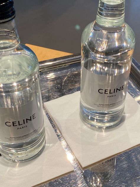 Celinecore Aesthetic, Celine Core Aesthetic, Celine Core, Celine Aesthetic, Sinners Anonymous, Boutique Aesthetic, High Fashion Branding, Luxurious Life, Classy Aesthetic