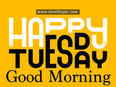 Happy Tuesday Tumblr, Hump Day Quotes, Tuesday Pictures, Tuesday Greetings, Tuesday Inspiration, Morning Announcements, Hello Tuesday, Saturday Quotes, Good Morning Tuesday