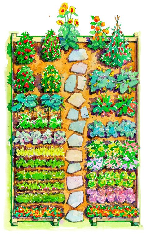 8 Vegetable Garden Layout Plans to Boost Your Homegrown Harvests Family Garden Plan, Veg Garden Plan, Vegetable Garden Lay Out, Vegetable Garden Plot Layout, Vegetable Garden Design Plans Drawing Layout, Garden Plot Design, How To Design A Vegetable Garden, Colorful Vegetable Garden, Summer Vegetable Garden Layout