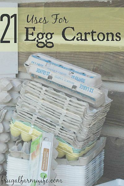 Try these 21 adorable egg carton uses for all those leftover cartons your family has lying around! I love them all but #5 might be my favorite! What To Do With Egg Cartons, Egg Carton Uses, Paper Bouquets, Crate Crafts, Chicken Owner, Micro Greens, Egg Container, Farm Wife, Eat A Lot