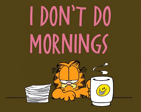 I am not a morning person... Humour, Garfield Quotes, Garfield Pictures, Hate Mornings, Garfield Cartoon, Monday Monday, Garfield Comics, Garfield And Odie, Monday Humor