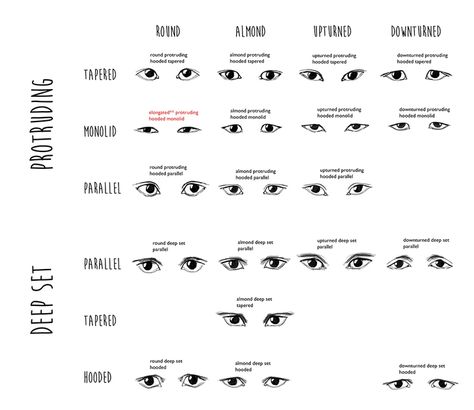 Imgur: The most awesome images on the Internet Eye Shapes Chart, Eye Shape Chart, Shapes Chart, Shape Chart, Realistic Eye Drawing, Eye Expressions, Almond Shaped Eyes, Eye Sketch, Nose Shapes