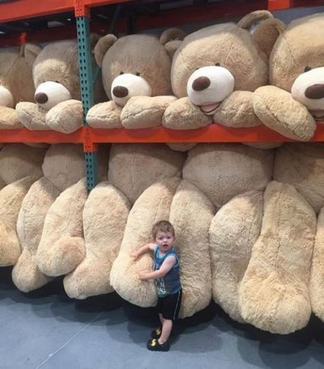 Huge Teddy Bears, Big Stuffed Animal, Giant Stuffed Animals, Large Teddy Bear, Big Teddy Bear, Big Teddy, Giant Teddy Bear, Giant Teddy, Teddy Bear Pictures