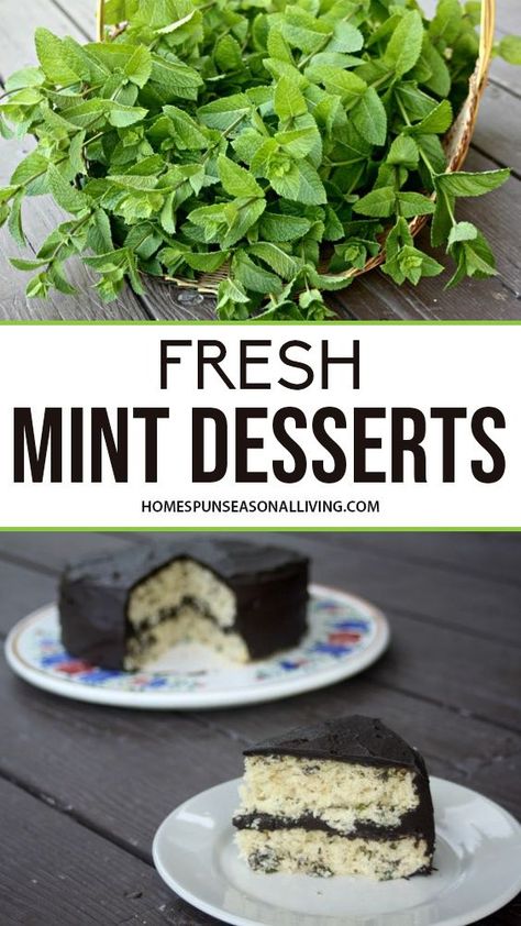 Pie, Spearmint Recipes, Mint Chocolate Pudding, Mint Drink Recipe, Mint Recipes Dessert, Mint Recipes Fresh, Chocolate Mint Plant, Mint Frosting, Mint Herb