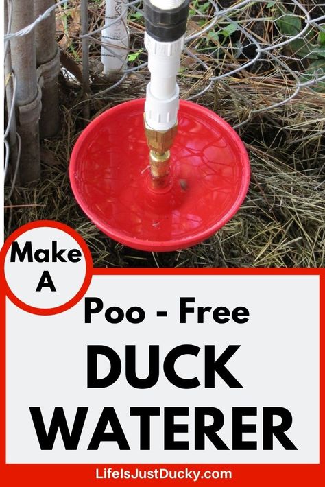 Duck Ideas Diy, Duck Waterer Diy, Duck Waterer No Mess, Duck House Diy, Duck Waterer, Duck Feeder, Ducks And Chickens, Keeping Ducks, Backyard Homesteading