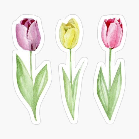 Tulips Stickers Printable, Tulips Stickers, Stickers Verdes, Tulips Printable, Tulip Sticker, Watercolour Stickers, Tulips Vintage, Tulip Drawing, Stickers School