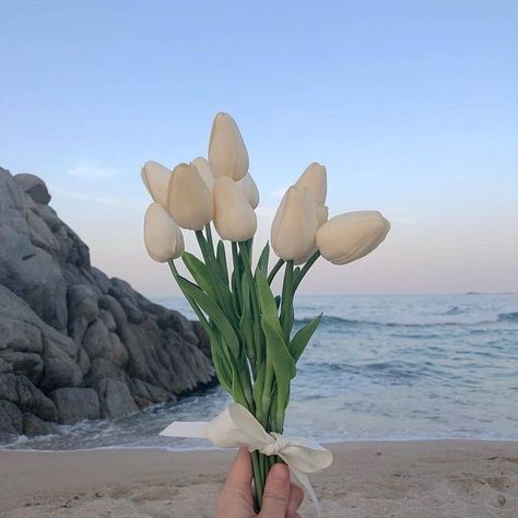 Flowers 🌺 on Twitter: "… " Influencer Ideas, Tulip Aesthetic, Content Inspiration, Flower Tulip, Baby Blue Aesthetic, Outfit Street, Poses Instagram, Black Photography, Fashion Influencer