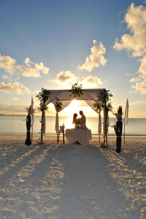 Maldives Wedding, Maldives Beach, Easy Wedding Planning, Cute Engagement Photos, Daisy Wedding, 0 Interest, Successful Marriage, Resort And Spa, Ball Gowns Wedding
