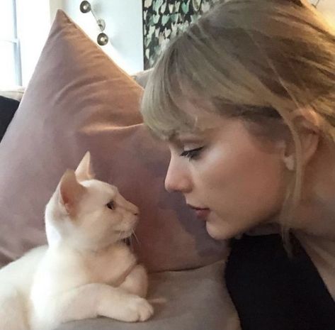 Taylor Swift Gown, New Kitten, Spotted Animals, Taylor Swift Funny, Taylor Swift Wallpaper, Swift 3, Long Live Taylor Swift, + Core + Aesthetic, Live Taylor
