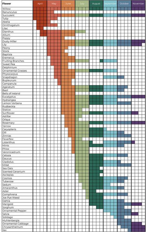 Growing Calendar — Greenstone Fields Types Of Plants For Landscaping, Flower Pairings, Farm Calendar, Growing Calendar, Cut Flower Farm, Flower Garden Plans, Planting Calendar, Ornamental Cabbage, Garden Calendar