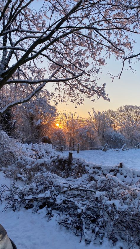 Nature, Snowy Morning Aesthetic, Sunny Snowy Day, Cold Morning Aesthetic, Winter Morning Aesthetic, November Snow, Snowy Sunrise, Snow Sunrise, Snow Beauty