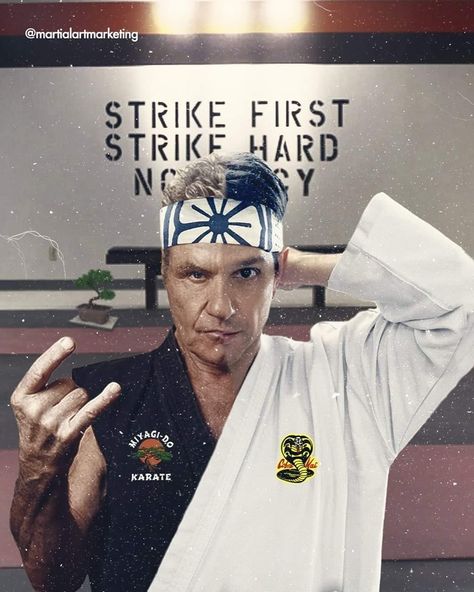 Cobra Kai Corba Kai, Miyagi Do, Cobra Kai Wallpaper, Kai Wallpaper, Karate Gi, Cobra Kai Dojo, Kid Cobra, Silver Bullet, Cobra Kai