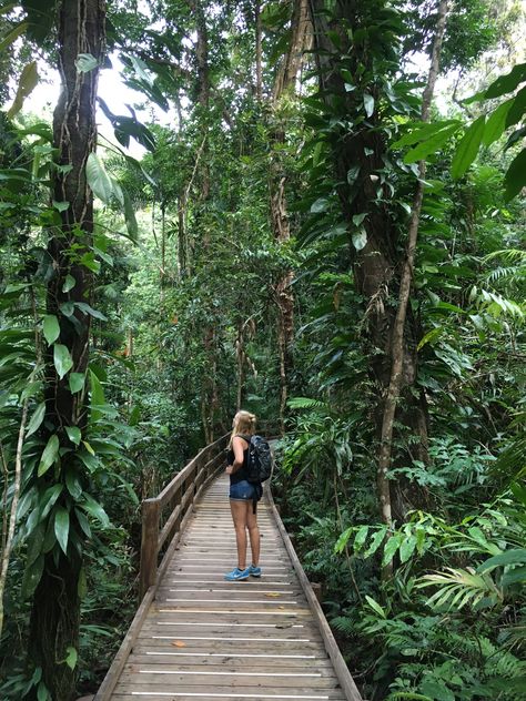 Girl In Jungle Aesthetic, Rainforest Picture Ideas, Jungle Photography Ideas, Jungle Picture Ideas, Jungle Photo Ideas, Jungle Girl Aesthetic, Jungle Poses, Tropical Jungle Aesthetic, Sunset Jungle