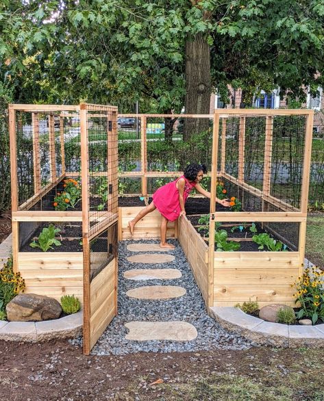 Small Garden In Backyard, Raised Garden Enclosure, Raised Beds With Fence, At Home Garden Raised Beds, Caged Garden Beds, Backyard Garden Boxes Raised Beds, Home Vegetable Garden Design Backyards, Fenced Raised Garden, Building A Garden Bed