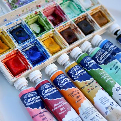 Watercolor Studio, Watercolor Pans, Art Assignments, Watercolor Water, Paint Tubes, Art Supply Stores, Watercolor Painting Techniques, Watercolor Palette, Stationery Organization