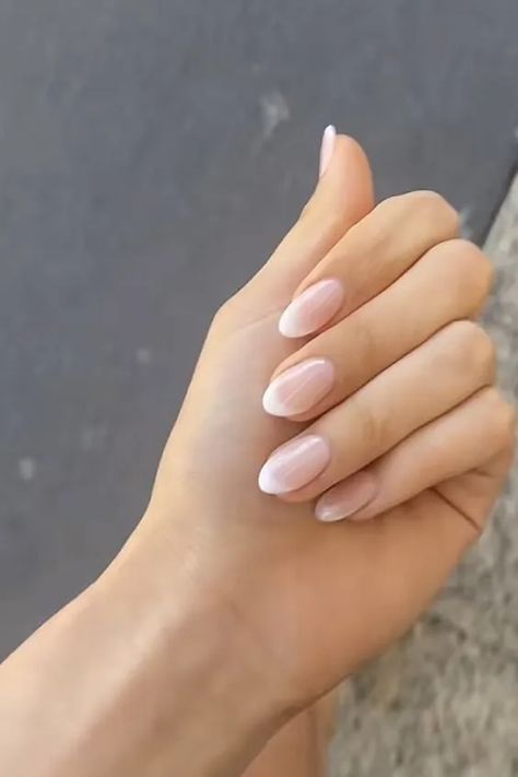 french tip nails Natural Look French Tip Nails, Pale French Tip Nails, Almond French Tip Dip Nails, Ombré Neutral Nails, Natural French Acrylic Nails, Clean Elegant Nails, Delicate French Tip Nails, Soft Tip Nails, Pale French Nails