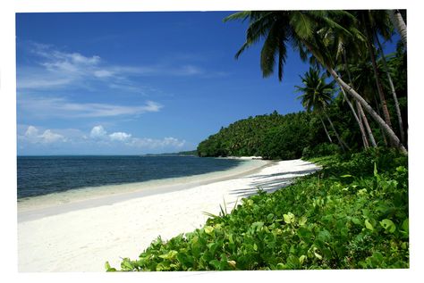 http://monk3ybidzness.hubpages.com/hub/Calicoan-Island--Guiuan--Eastern-Samar San Vicente, Samar, Leyte, Siargao, La Union, Samar Philippines, Eastern Visayas, Tacloban City, Philippines Beaches