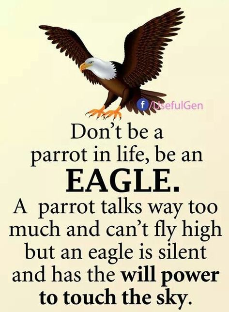 Eagles Quotes, सत्य वचन, Life Choices Quotes, Inspirerende Ord, Kalam Quotes, Inspirtional Quotes, Choices Quotes, Inpirational Quotes, Abdul Kalam