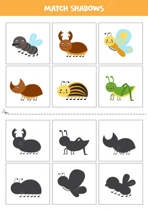 Cute Insects, Preschool Color Activities, Shadow Matching, Insects Preschool, Kindergarden Activities, Insects Theme, Primary And Secondary Colors, Preschool Activities Toddler, Preschool Colors