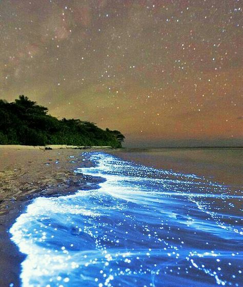 Starry Ocean Vaadhoo Island, Sea Of Stars, Places Around The World, Dream Vacations, Vacation Spots, Maldives, Travel Dreams, Beautiful World, Wonders Of The World