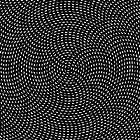 Stare at the center for 30 seconds, then look away. Who need drugs when we have science!? Image Illusion, Illusion Kunst, Illusion Gif, Eye Tricks, Cool Illusions, Cool Optical Illusions, Art Optical, Hemma Diy, Psy Art