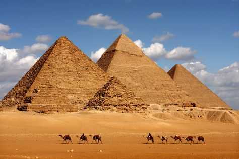 #8k #pyramid #camel #Egypt #8K #wallpaper #hdwallpaper #desktop Egiptul Antic, Pyramids Egypt, Istoria Artei, Great Pyramid Of Giza, Egypt Tours, Pahlawan Marvel, Egyptian Pyramids, Visit Egypt, Valley Of The Kings