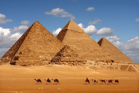 #8k #pyramid #camel #Egypt #8K #wallpaper #hdwallpaper #desktop Sharm El Sheikh, Egiptul Antic, Pyramids Egypt, Istoria Artei, Great Pyramid Of Giza, Egypt Tours, Pahlawan Marvel, Egyptian Pyramids, Visit Egypt